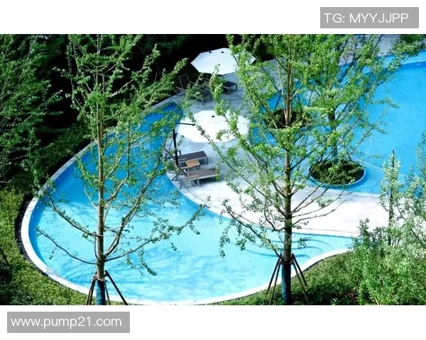 创新泳池设计方案提升空间美感与实用性的完美融合 创新泳池设计方案提升空间美感与实用性的完美融合