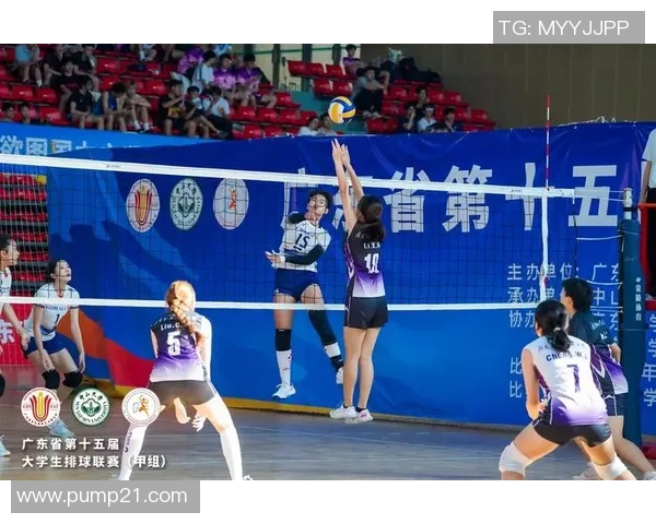 广州排球队迎来速度革命引发热议与关注