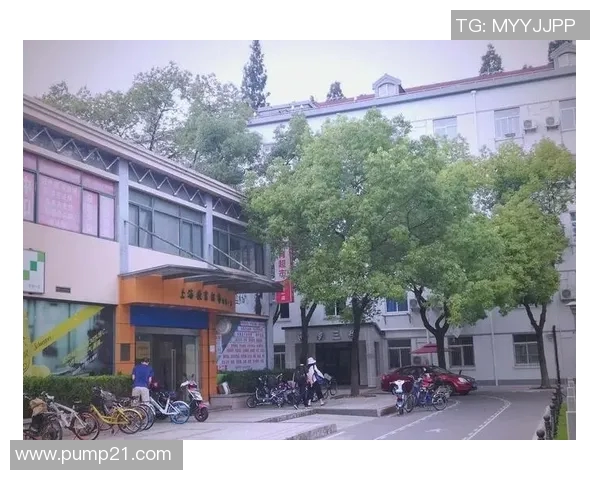 从零起步掌握排球技巧与力量训练的全方位指南