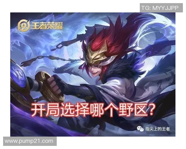 王者荣耀赛事分析：深度解析FPX战队的游戏节奏与策略运用