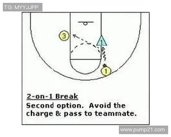 北京羽毛球队快攻战术解析与实战应用探讨